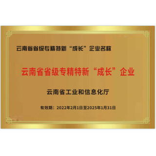 云南省專(zhuān)精特新成長(zhǎng)型企業(yè)榮譽(yù)